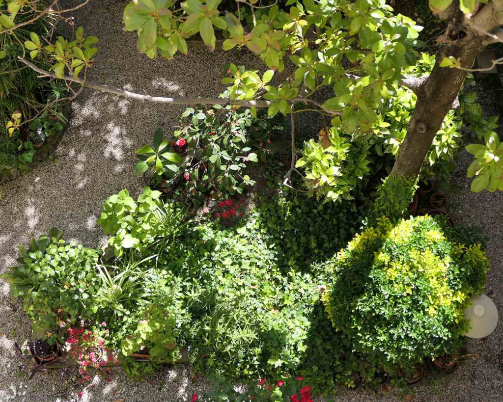Blick von oben in den Garten des Kreuzganges.