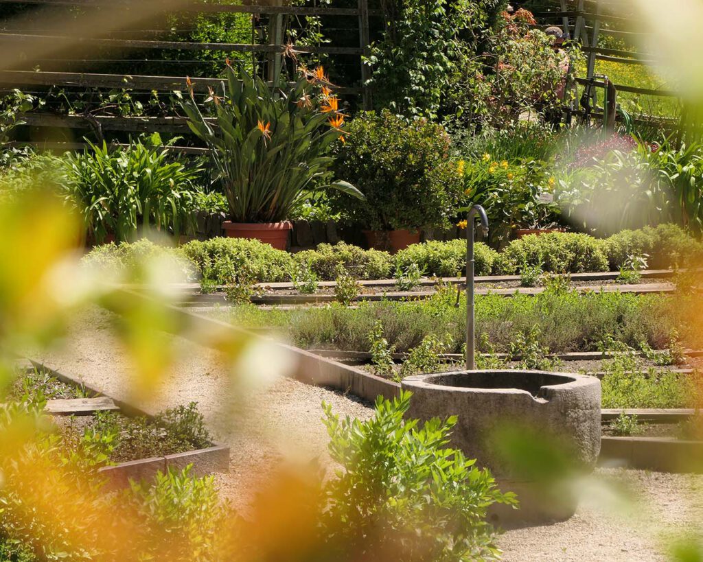 Brunnen im Kräutergarten des Klostergartens